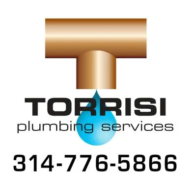 Torrisi Plumbing Services Logo