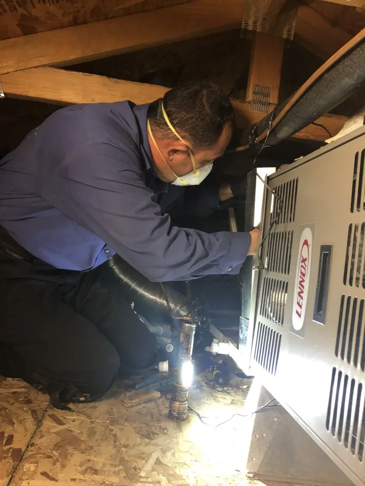 Slide of Total Comfort