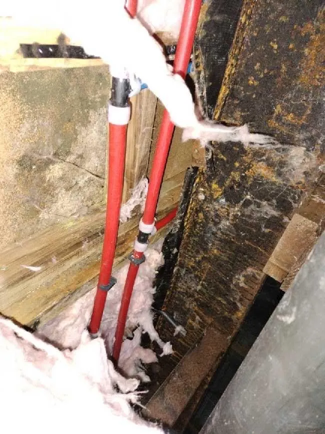 Slide of Total Plumbing