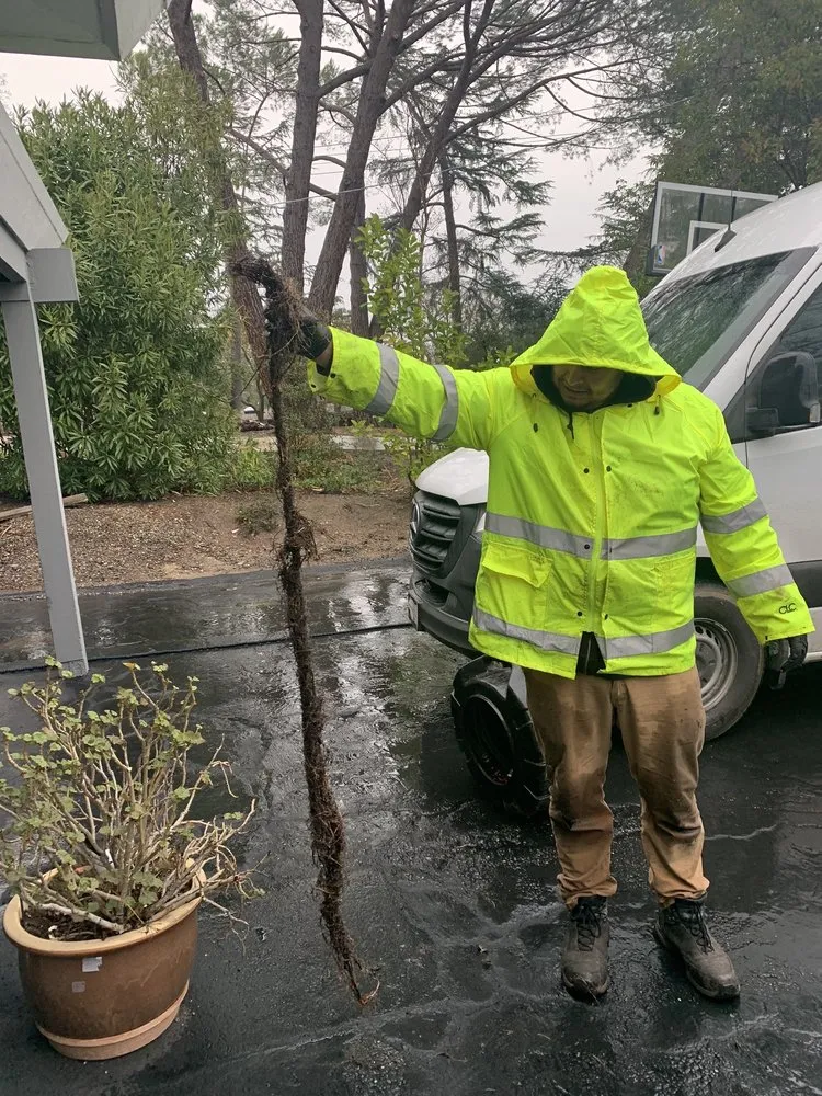 Emergency drain cleaning in Berkeley, CA by Total Plumbing Services