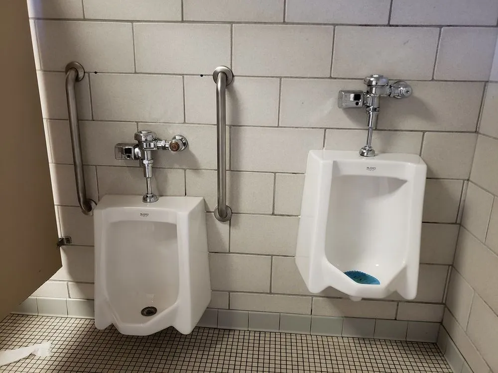 Slide of Totally Toilets