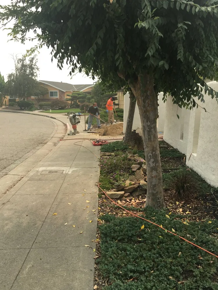 Slide of Toto's Plumbing