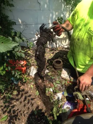 Tozzie's Drain Cleaning Logo