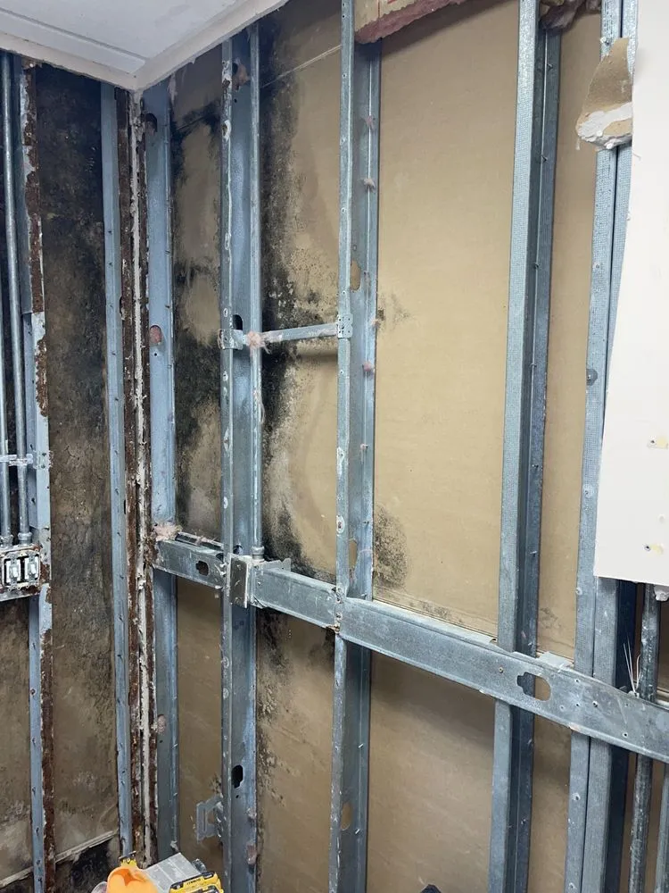 Slide of TPRO Services