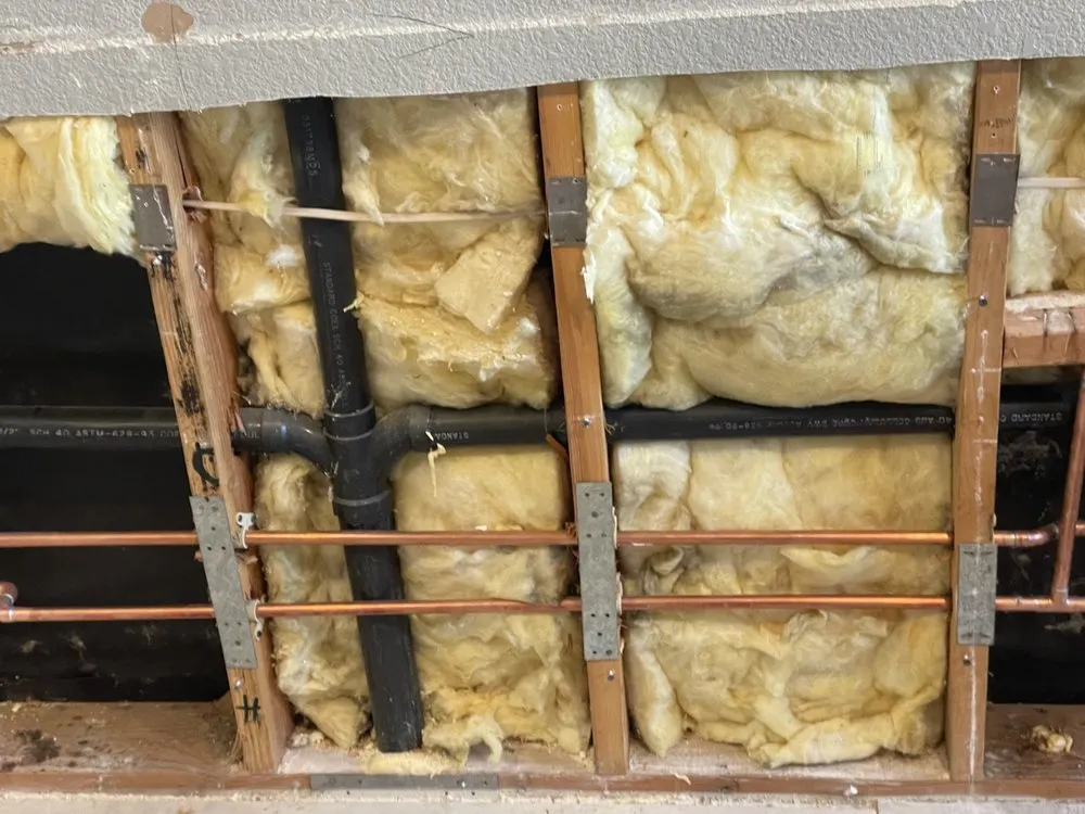 Slide of Tracy Rooter