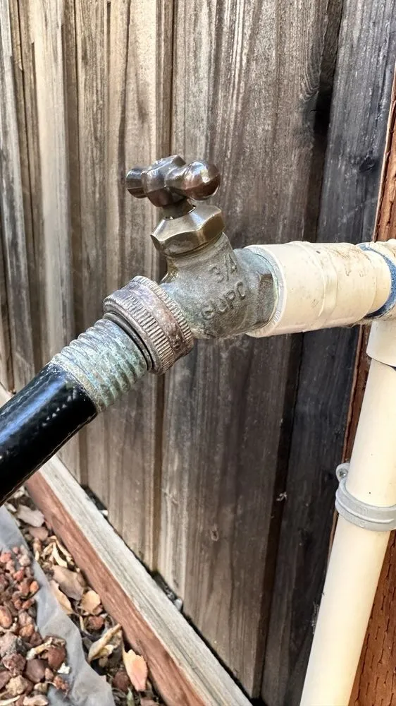 Slide of Tracy Rooter