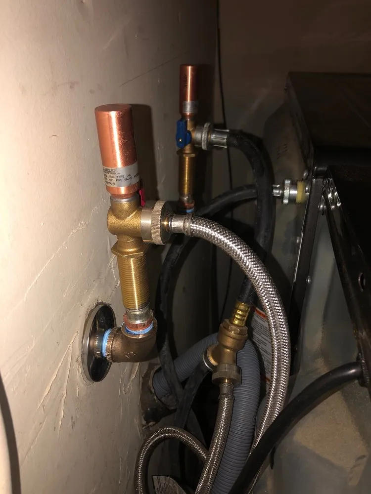 Slide of Tracy Rooter