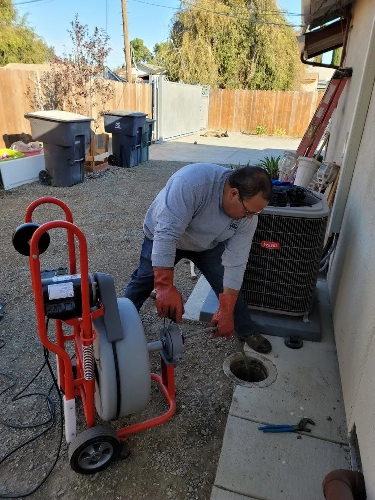 Slide of Tracy Rooter