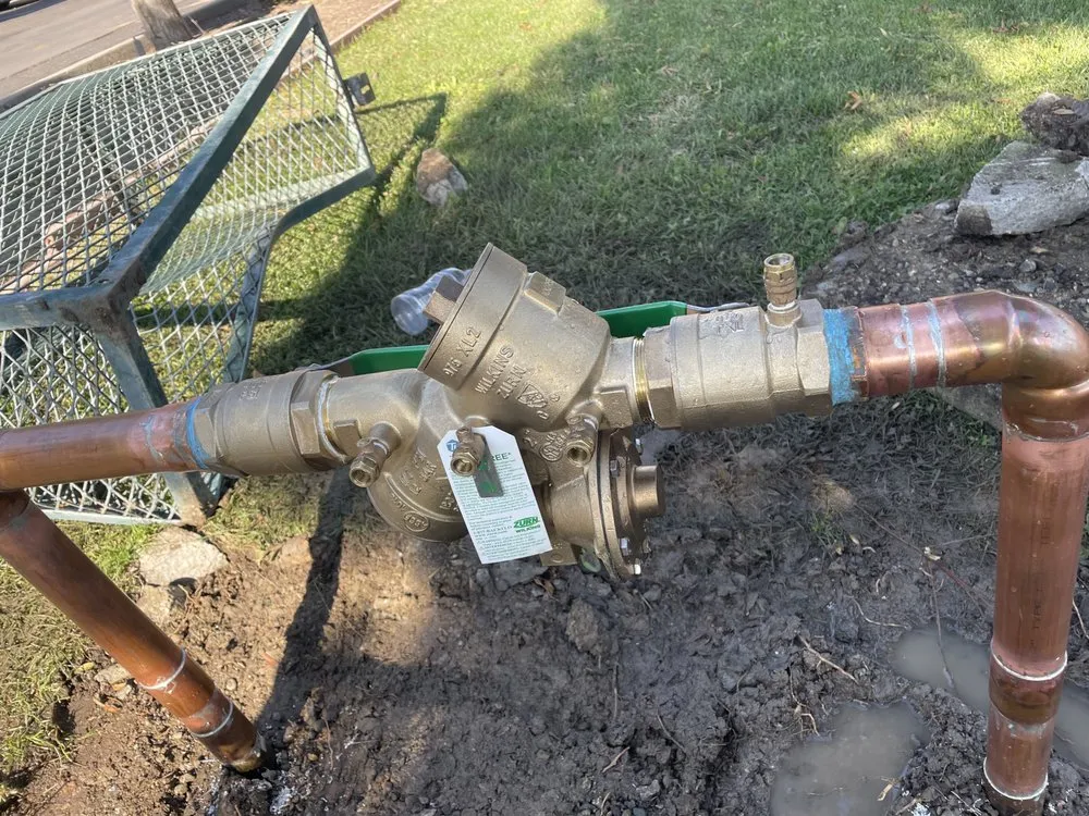 Slide of Tracy Rooter