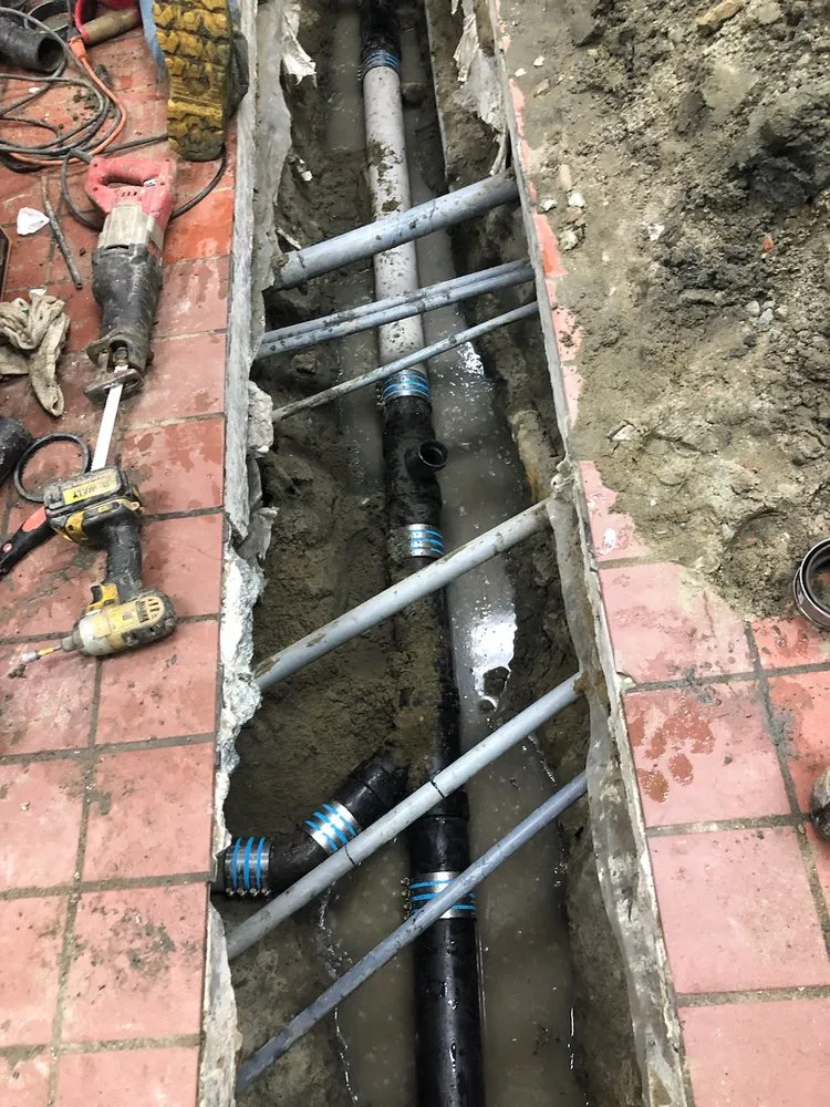 Slide of Tracy Rooter