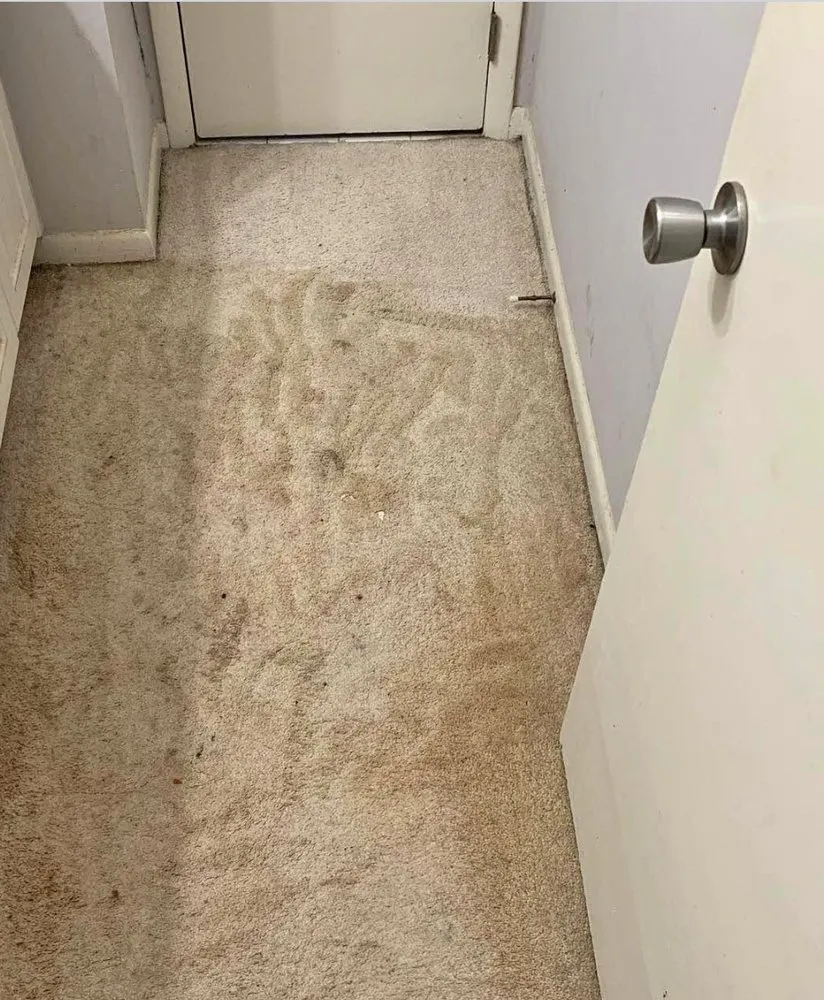 Reliable drain cleaning in Locust Grove, GA by Trade Flow Network