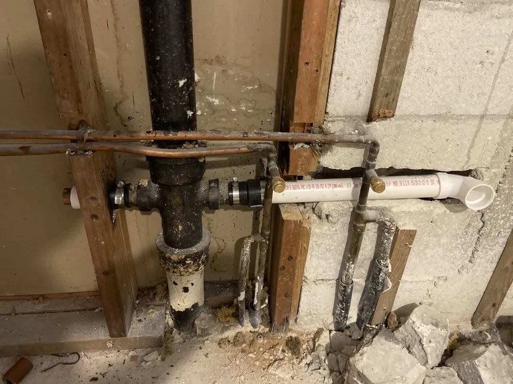 Slide of Trader Rodrigues