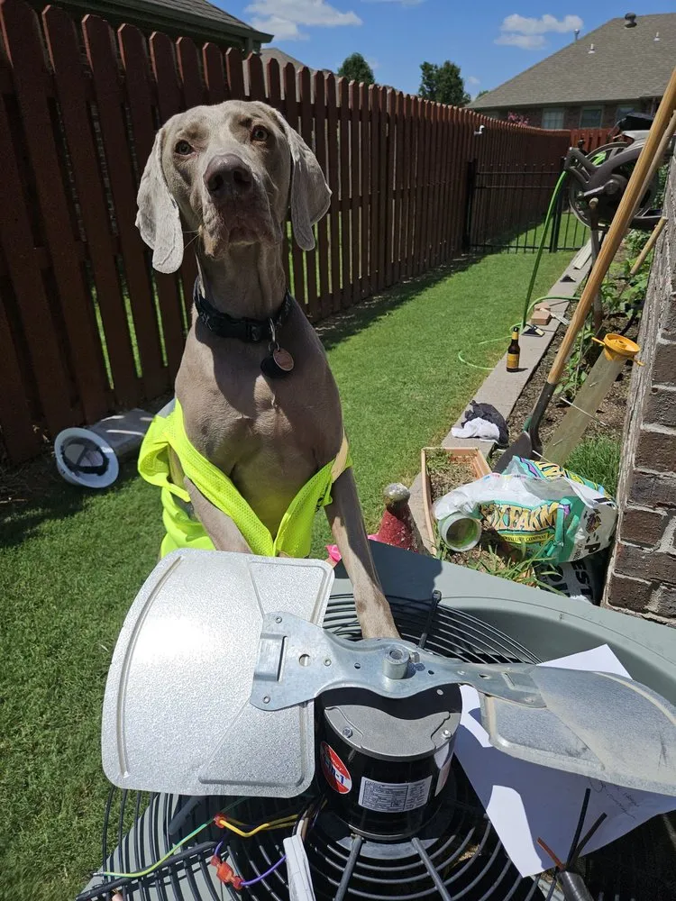 Slide of Trailside-Handyman