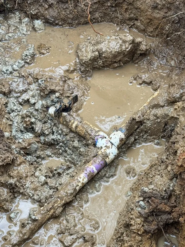 Slide of Transparent Plumbing