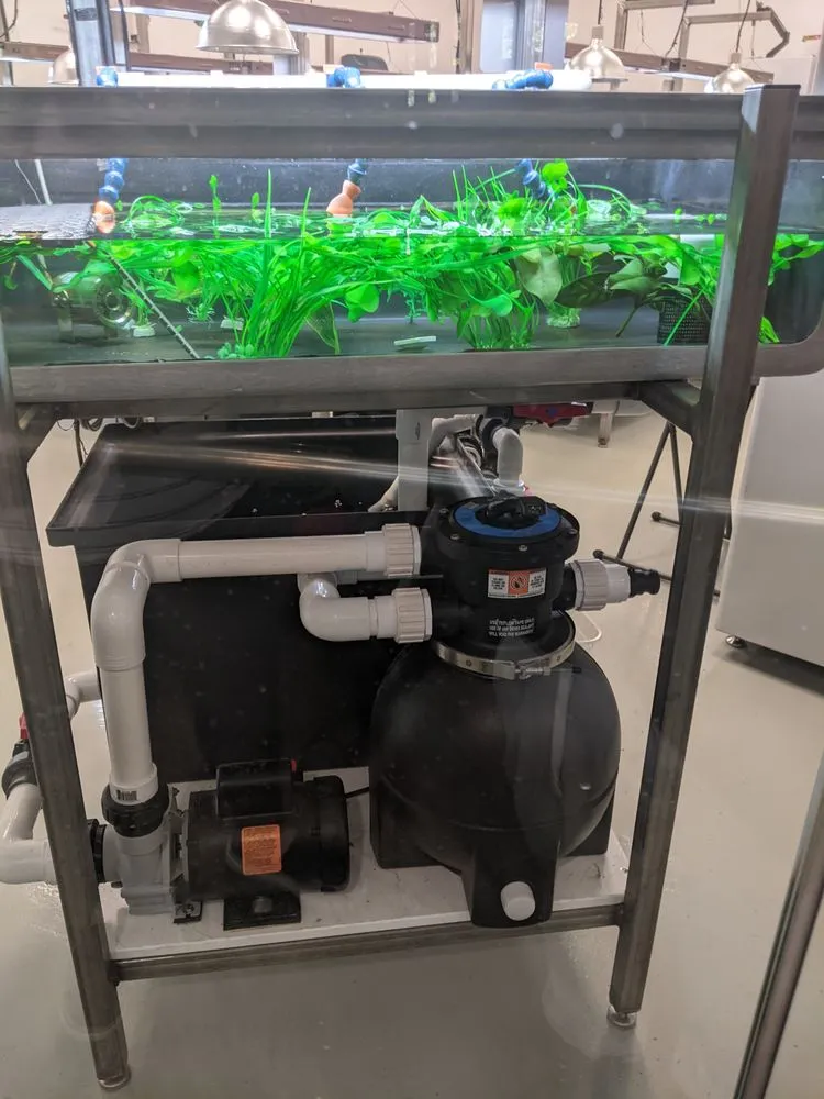 Slide of Traveler's Toolbox