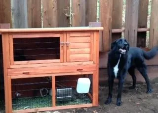 Slide of Travis Martin Plumbing