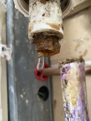 Treasure Coast Leak Detection & Water Damage Remediation Logo