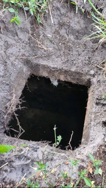 Emergency drain cleaning service in Palm City, FL - Treasure Coast Plumbing & Septic Service