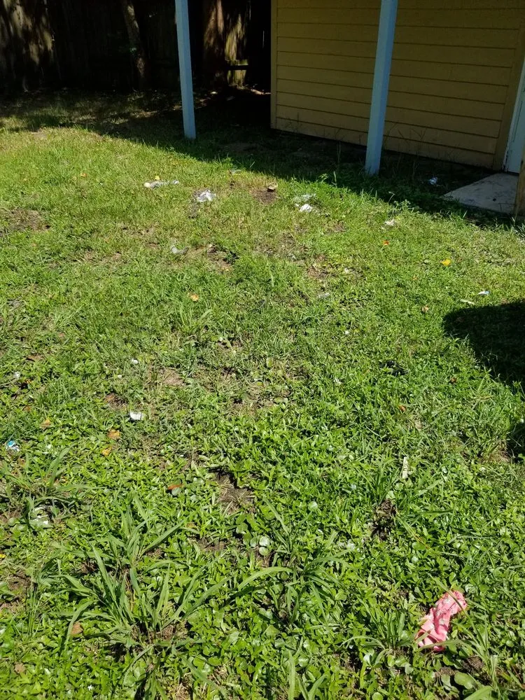 Slide of Treherns first impressions and helping hands