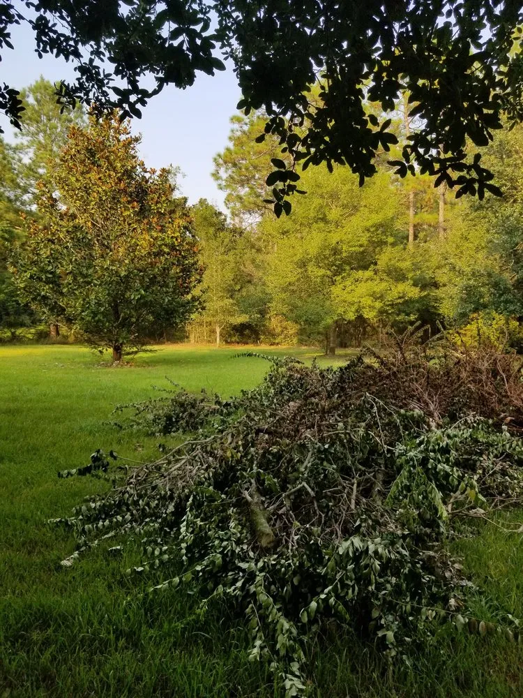 Reliable leak detection for homes in Long Beach, MS by Treherns first impressions and helping hands