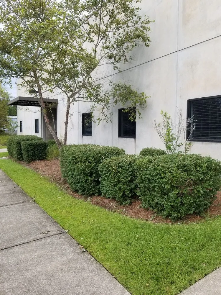 Emergency drain cleaning experts serving Long Beach, MS - Treherns first impressions and helping hands