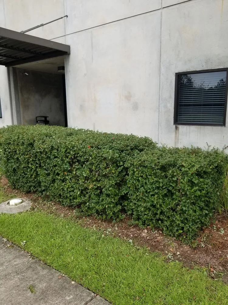 Quality leak detection experts serving Long Beach, MS - Treherns first impressions and helping hands