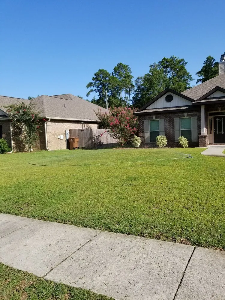 Slide of Treherns first impressions and helping hands