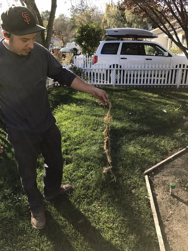 Quality emergency plumbing service in San Mateo, CA - Tremors Plumbing & Sewer