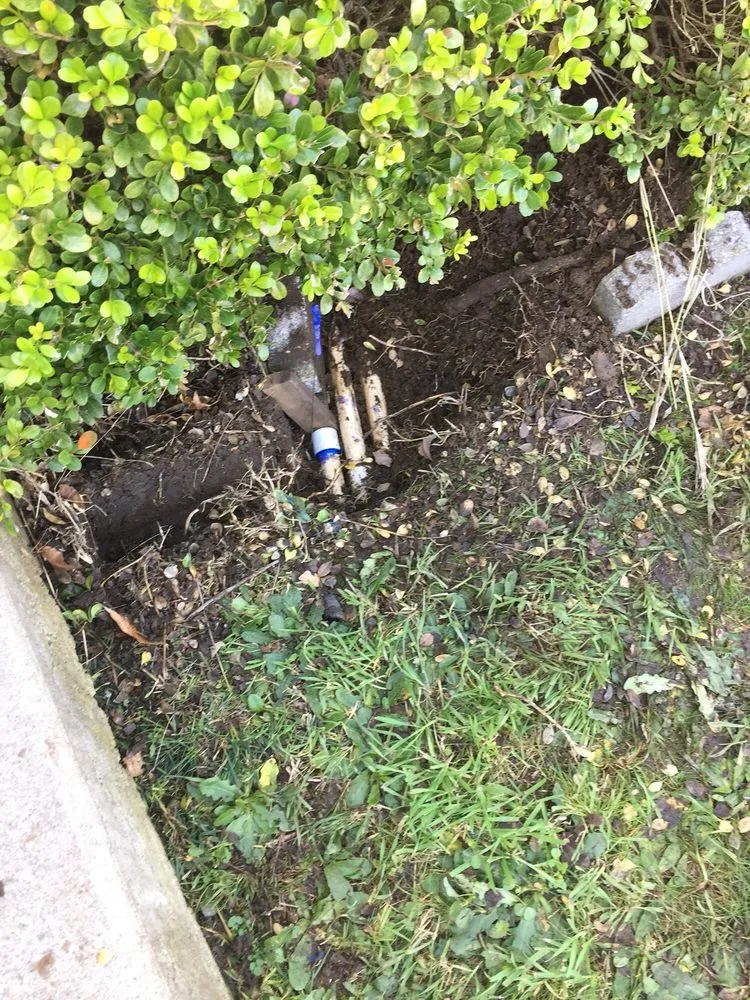 Expert plumbing repair service in San Mateo, CA - Tremors Plumbing & Sewer