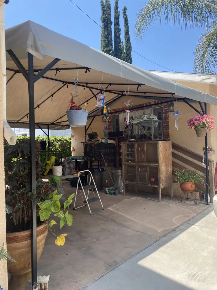 Slide of Tres Flores General Construction