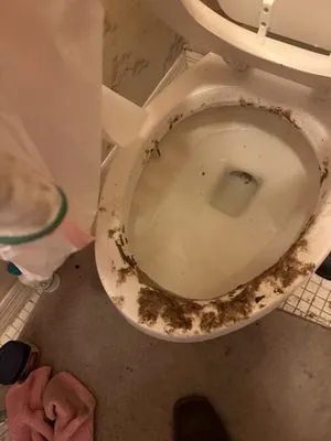 Trevors Home Solutions Logo