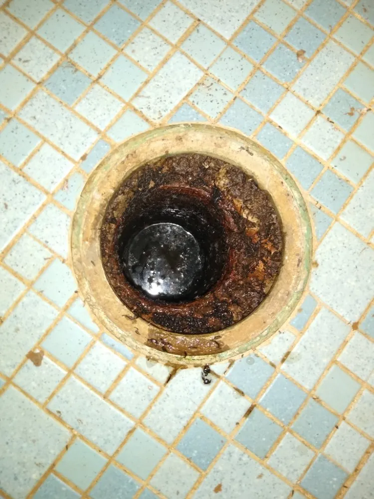 Slide of Tri-City Rooter