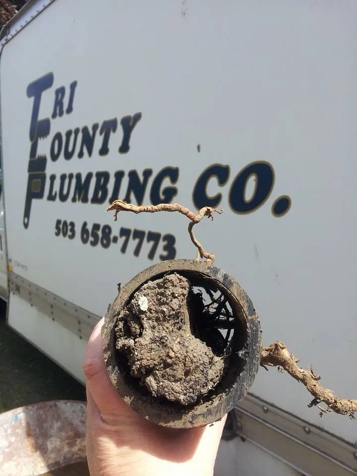 Slide of Tri County Plumbing