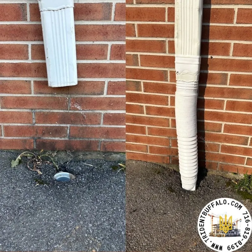 Slide of Trident Buffalo