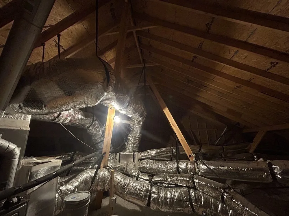 Slide of Trimelogic USA