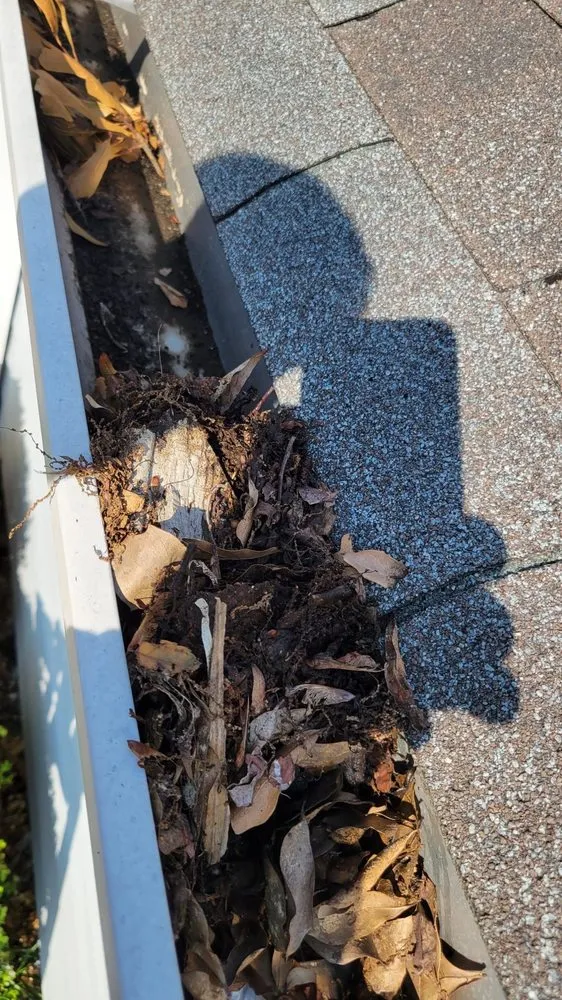 Slide of Trimelogic USA