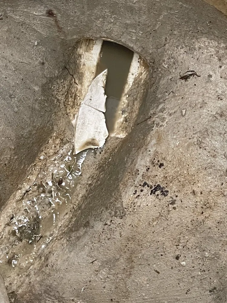 Slide of Triple 7 Services