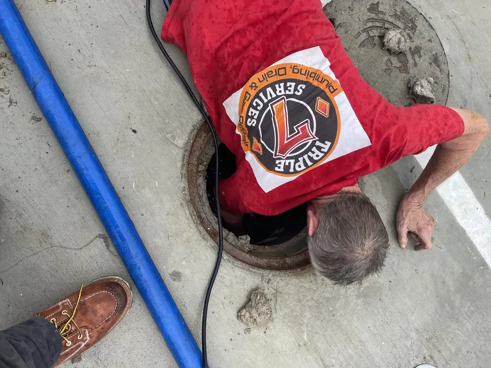 Slide of Triple 7 Services