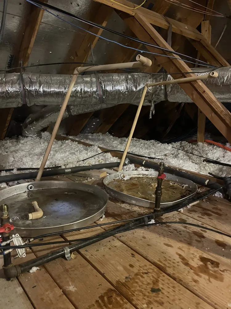 Slide of Triple 7 Services