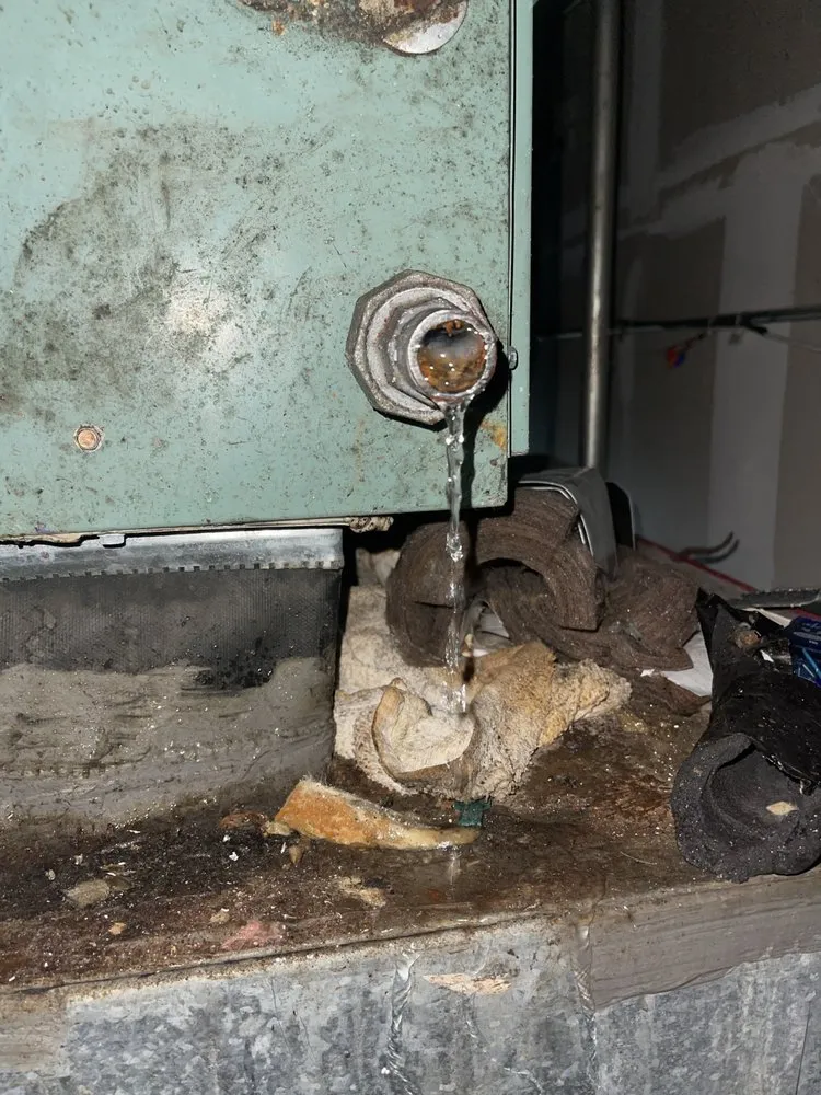 Slide of Triple 7 Services