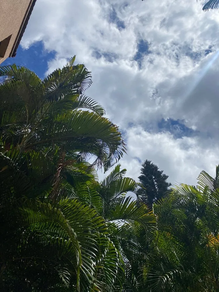 Slide of Triple L Plumbing