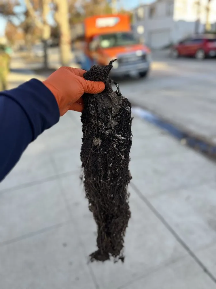 Slide of Triple P Plumbing & Drains