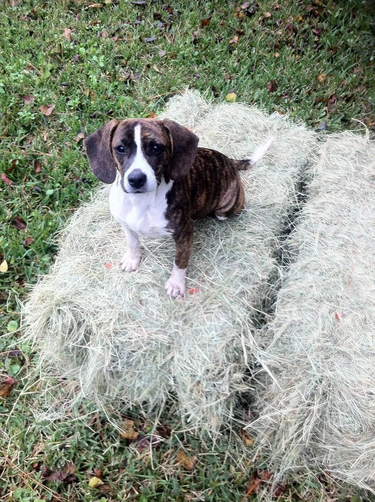 Slide of Triple S Plumbing