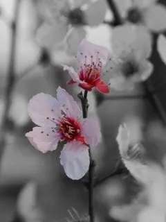 Slide of Triple S Plumbing