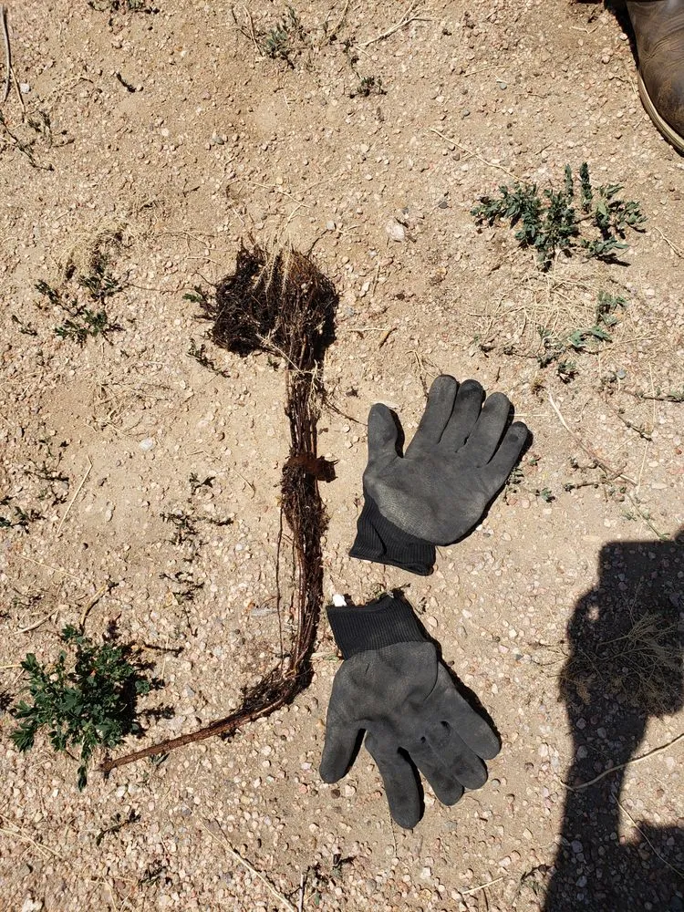 Reliable pipe repair for homes in Thornton, CO by Triple S Sanitary Sewer Services