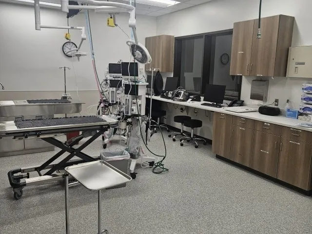 Slide of Triple Star Construction