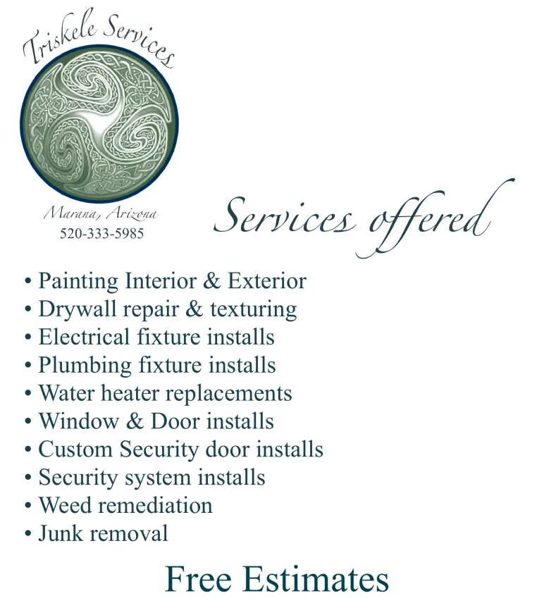 Slide of Triskele Services