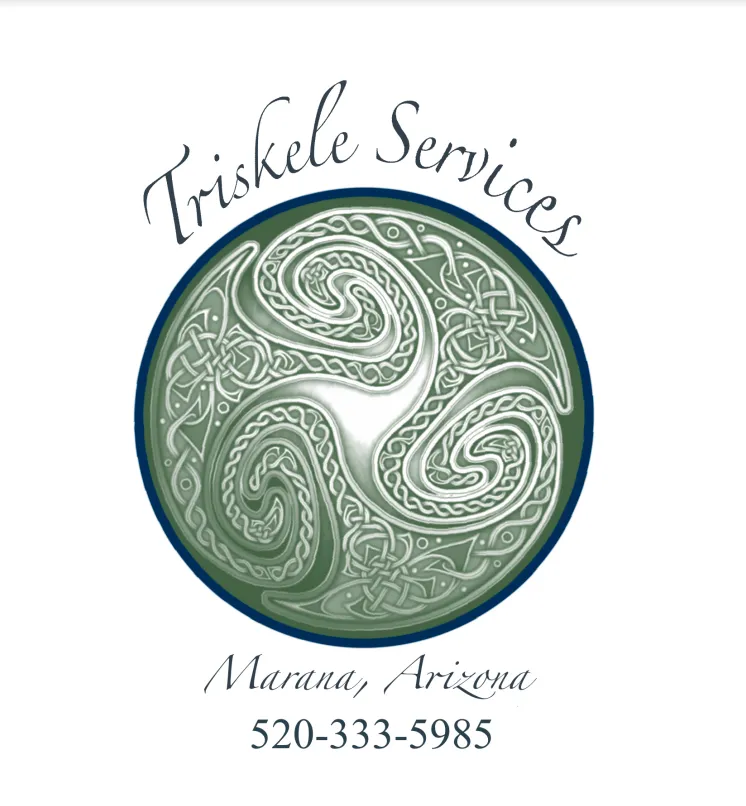 Slide of Triskele Services