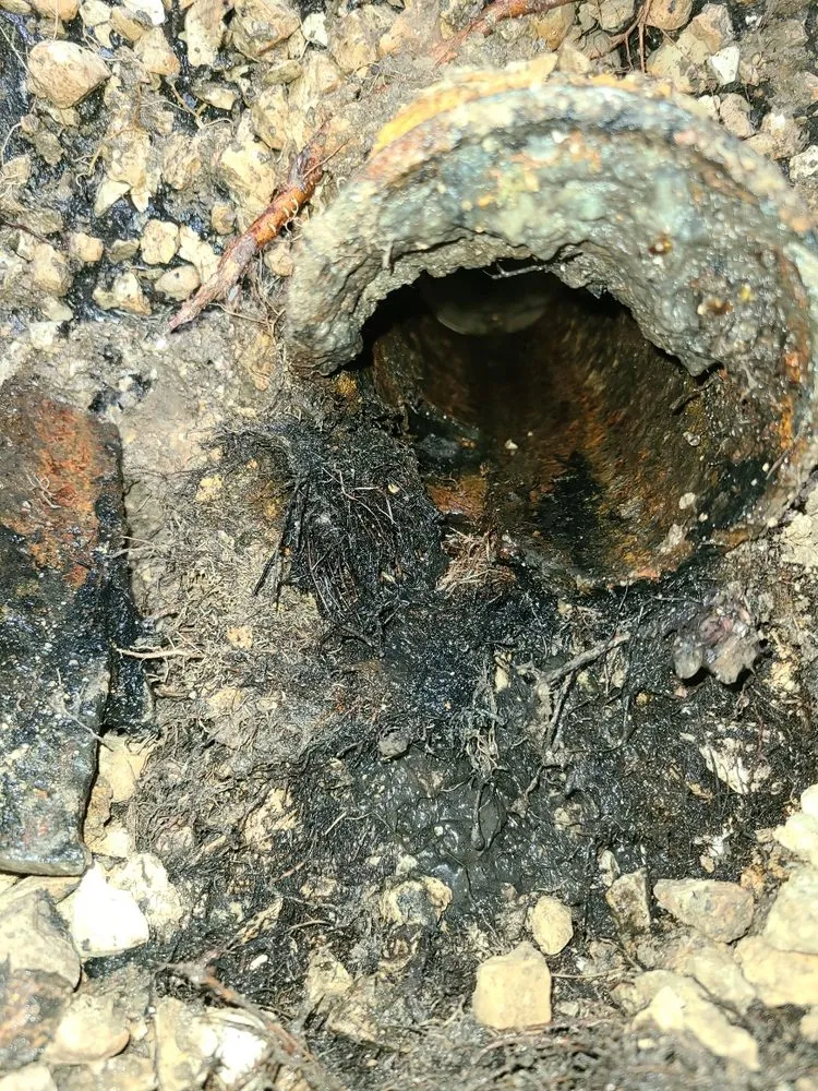 Slide of Tritan Plumbing