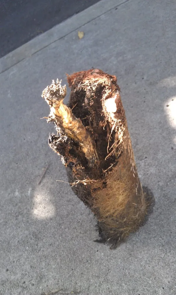 Slide of Triton Plumbing